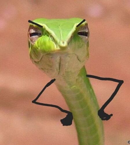 dab14c82503afa34cdab9ffd389b01ca