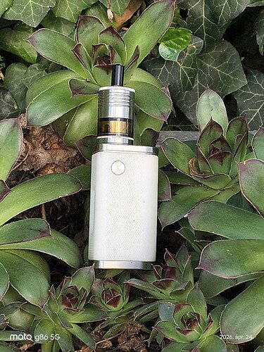 bb8b776f-1876-4117-89eb-bdb5c096fef5