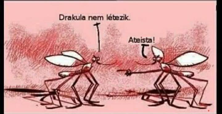 FB_IMG_1786537441692