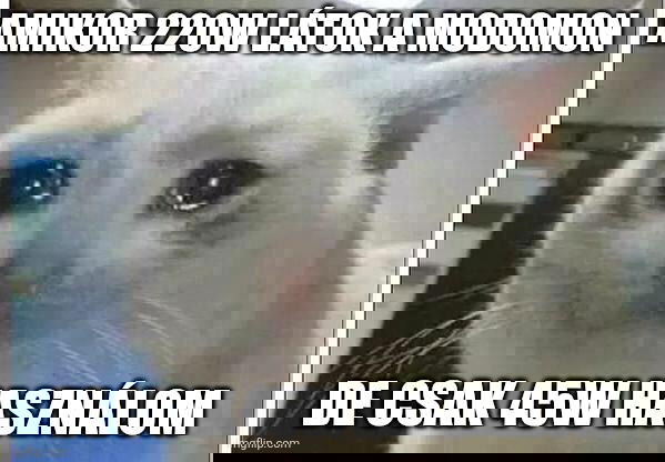 17604602994735710179432440590236