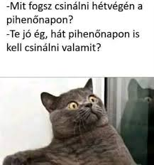 kép