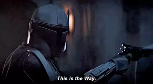 The Mandalorian: This Is The Way