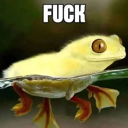 17679015912233237859072815093003