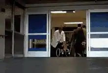 Goatplaybanjo Chat: Cat in Wheelchair