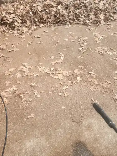 Pressure Wash Leaf Blowing Pressure Wash Leaf Blower